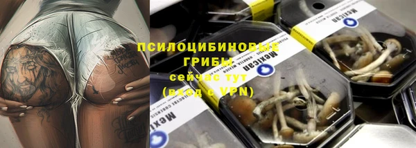 spice Белокуриха